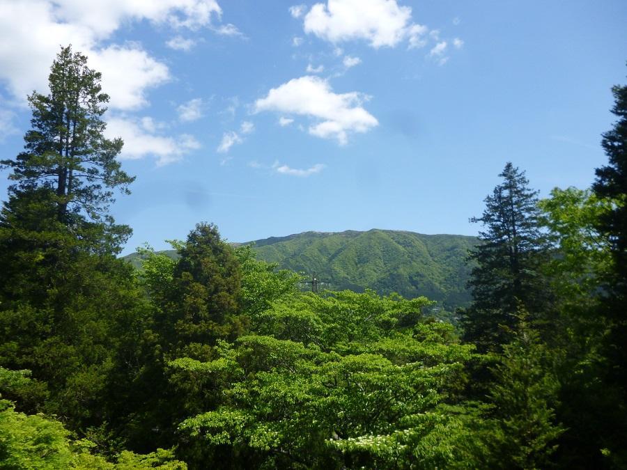Hotel Kaze No Ne Hakone Zewnętrze zdjęcie